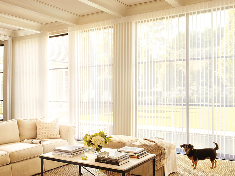 The image depicts a well-lit, modern living room with white vertical blinds covering large windows, allowing natural light to enter. A dog is standing on the floor near the window. The room features a neutral color palette and contemporary furnishings, including a sofa and coffee table.