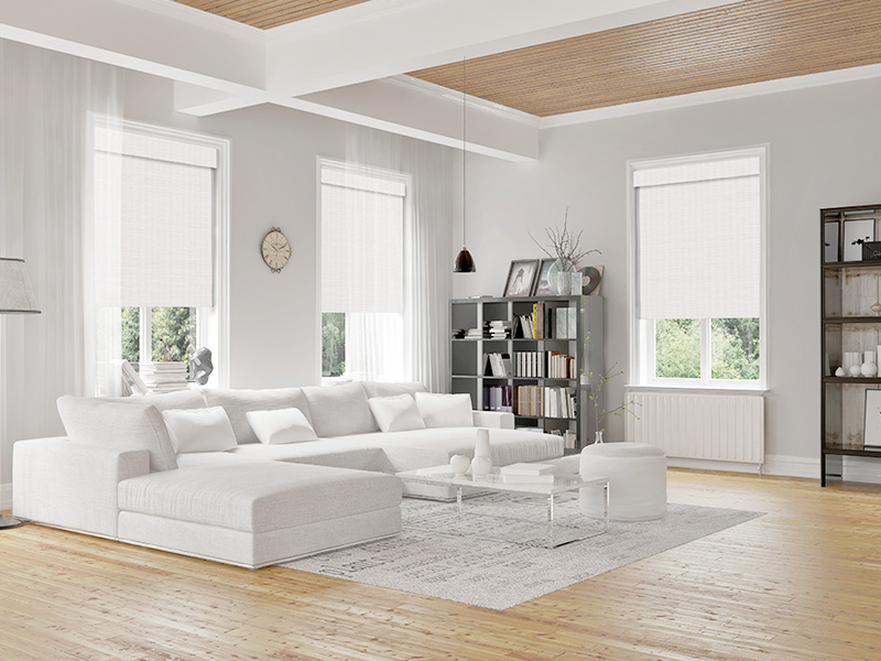 A modern living room with a neutral color palette, featuring a white sofa, gray rug, and large windows.